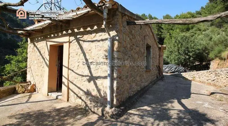 Parcela Rustica en Soller con Olivar y Casita