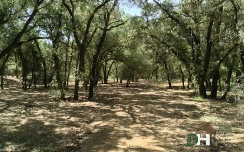 Venta Finca con trastero en Ciudad Jardín, Ciudad Real - Ref: 492-492-CR-006
