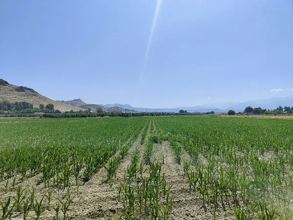 Parcela Rustica 22000m2 Atarfe Vega Granada Cultivo Invernaderos