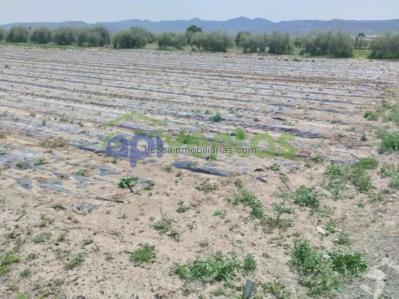 Parcela Rustica en Venta Lorca 5448m2