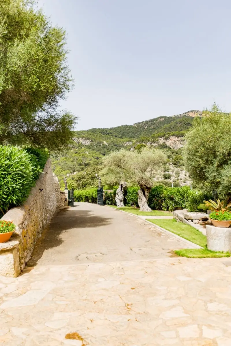 Finca de Lujo en Mallorca: 12 Habitaciones, Autosuficiente