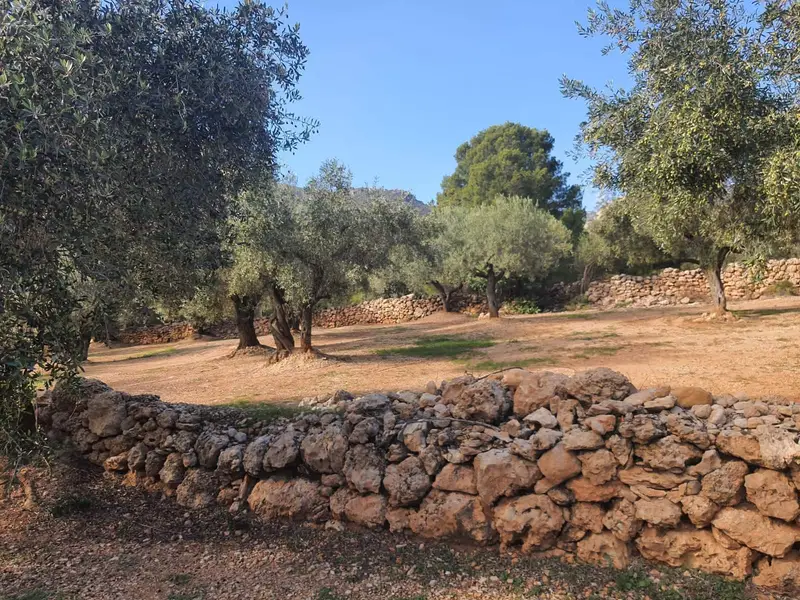 Finca Rústica para Casa de Campo Sostenible en Castellón