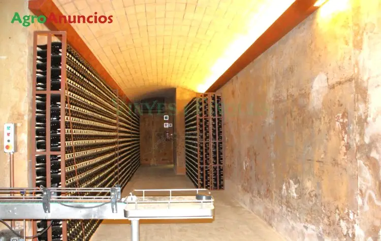 Venta  de Finca con masia noble, bodega y viñedo en el penedes en Barcelona