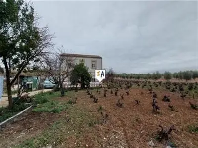 2 Casas Rurales con Viñedo en Monturque - 8 Dormitorios