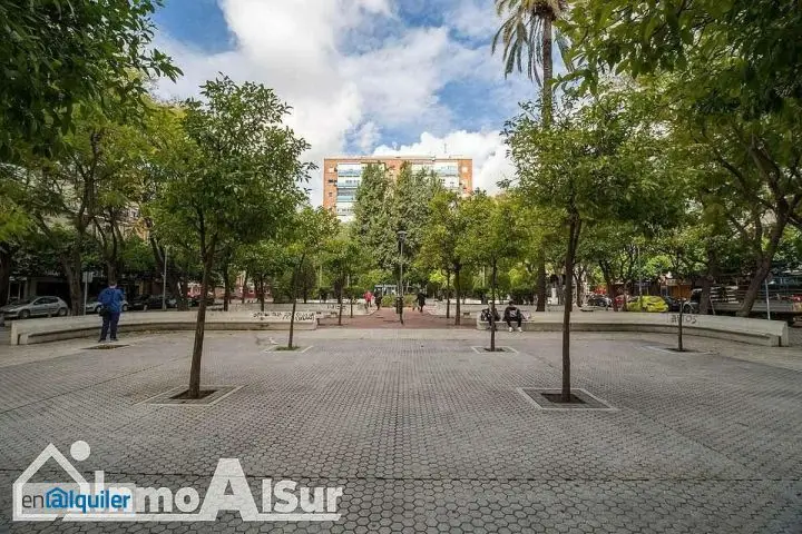 Alquiler piso terraza Sur