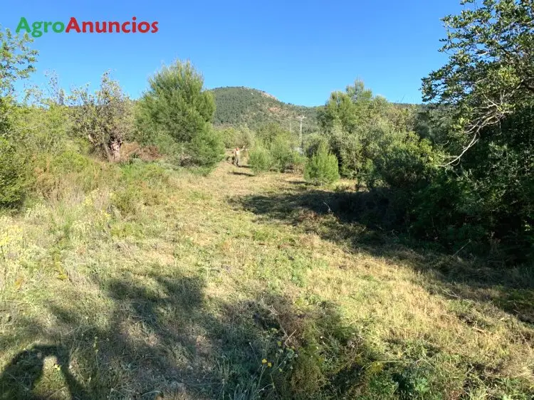 Venta  de Finca rústica en Castellón