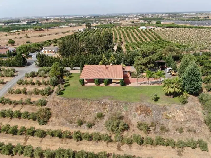 Finca Ecuestre de Lujo con Olivar en Cartaya