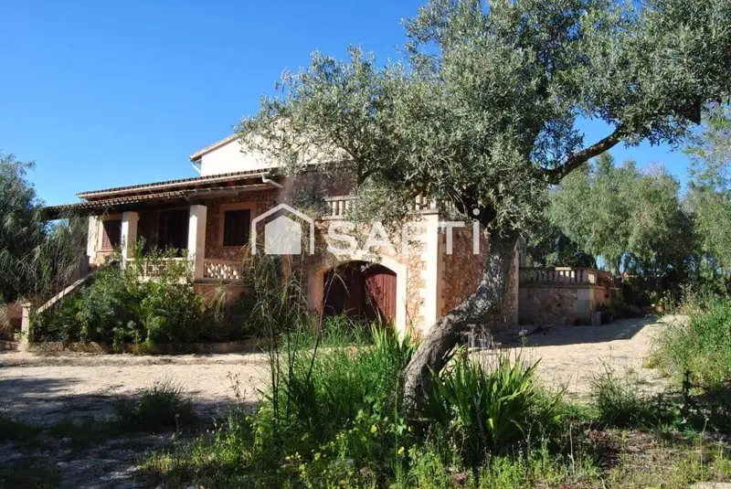 Finca Rustica en Venta Campos Mallorca
