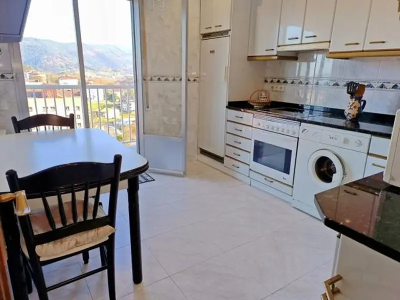 venta Piso en Errenteria, Guipúzcoa (49179333150.510345)- Globaliza