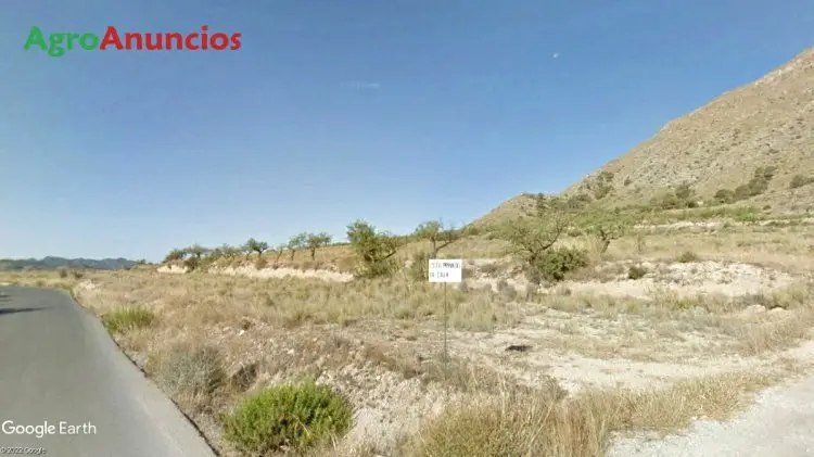 Venta  de Finca ideal para casa de campo en Murcia