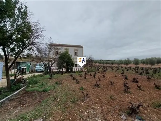 Casa Rural 8 Dormitorios Monturque Viñedo