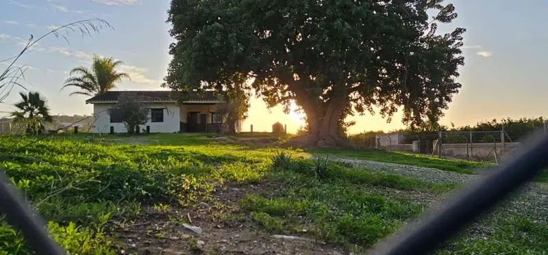 Finca Rural en Alquiler Cártama Málaga