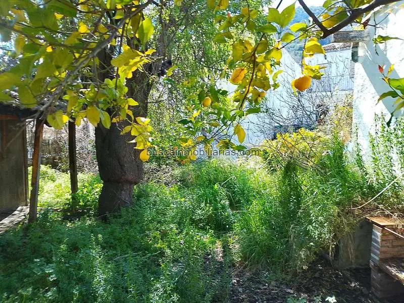 Parcela en Venta Grazalema Sierra Ideal Casa Turismo