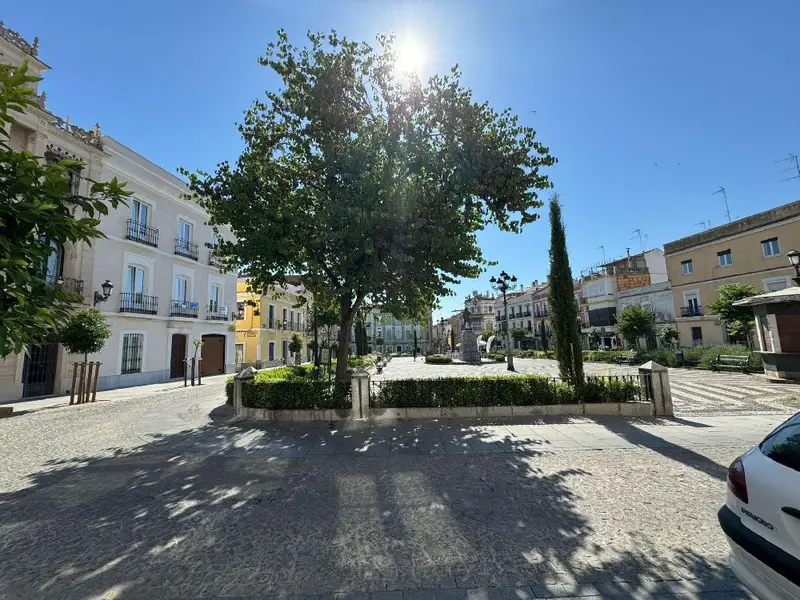 Venta Local Comercial Plaza Cervantes Badajoz V2428
