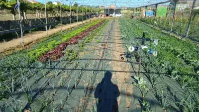 Finca Rustica en Venta en Vilagarcia de Arousa