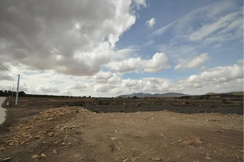 Terrenos en venta
Pinoso, Alicante
