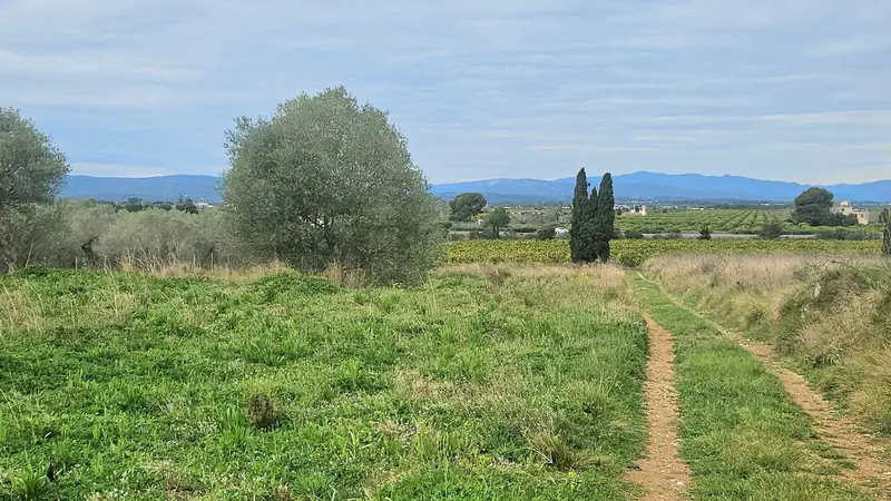 Finca Rural en Venta Vinaros Castellon Casa con Terreno 3980m2