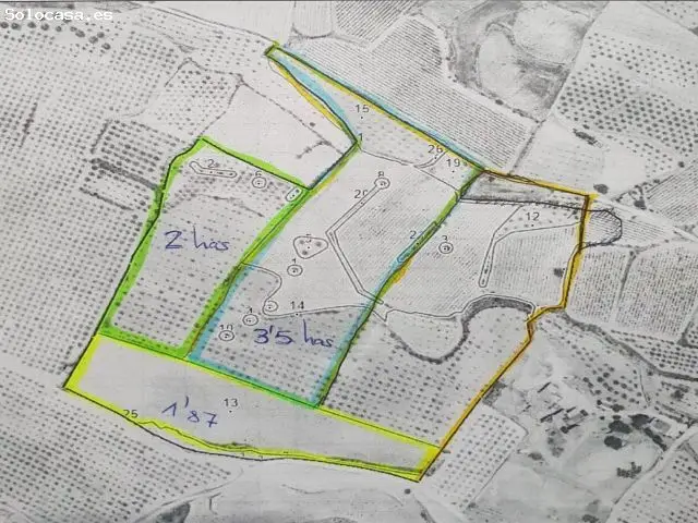 Parcela en Venta Pinoso Alicante