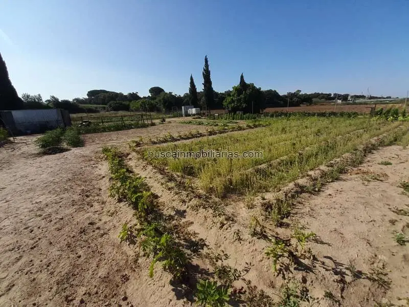 Parcela Rustica en Venta Jerez de la Frontera