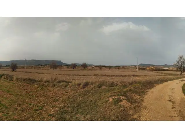 Gran Ocasion Parcela Rustica 40000 Metros Cerca Almansa