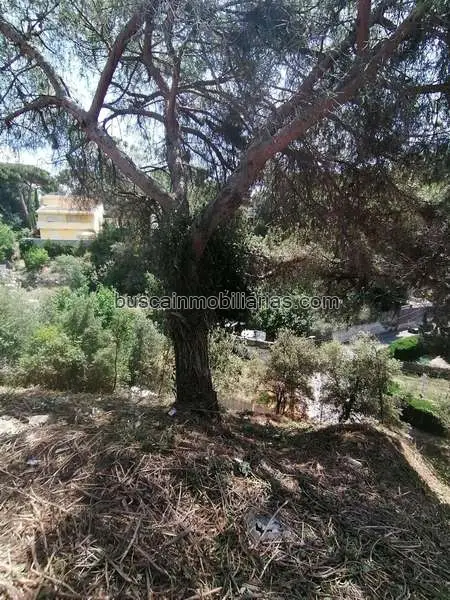 Parcela en Venta en Can Massuet Dosrius 501m2