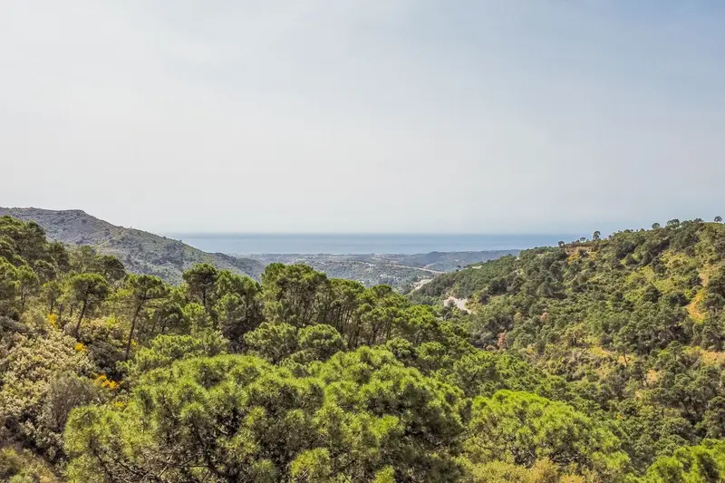 Terreno en Venta Benahavis  260000m2 Vistas Panoramicas