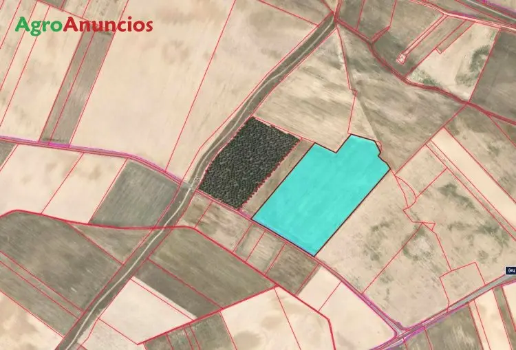 Venta de 21 Hectareas de Terreno de Secano en Segovia