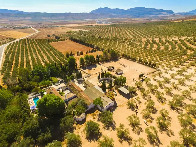 Finca Ecuestre con 9 Dormitorios en Antequera