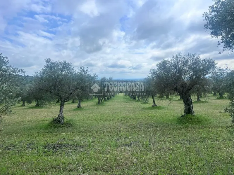 Parcela en Venta en La Goudinha Portugal 16000m2