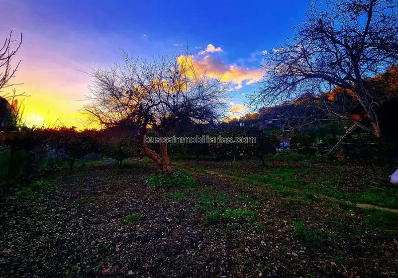 Parcela Rustica en Venta en Sierra de Grazalema