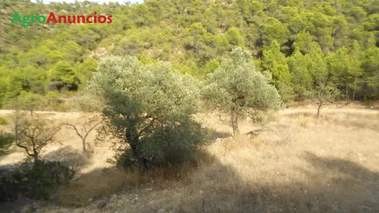 Venta  de Finca de recreo en Zaragoza