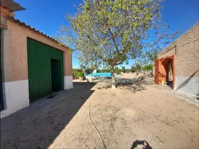 Finca Rustica con Parras Piscina y Casa Cerca Villarrobledo