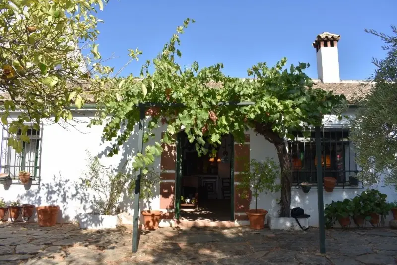 Venta Finca Amueblada Montoro 74 ha 3 Edificaciones
