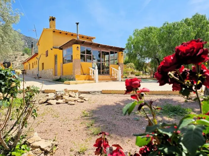 Villa de Lujo 4 Dormitorios Pinoso Jumilla