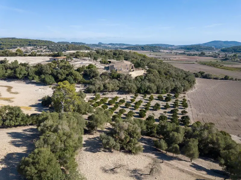 Finca Rustica en Venta Montuiri Mallorca