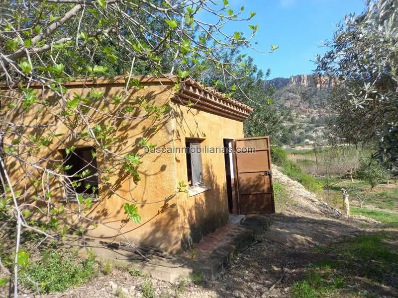 Parcela Rústica con Casa en Miravet Ribera de Ebro