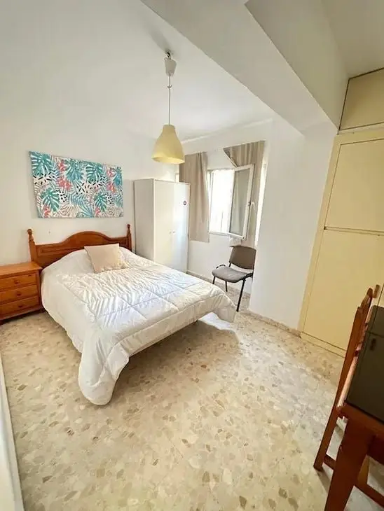Apartamento 1 Dormitorio 1 Baño en Alquiler Malaga