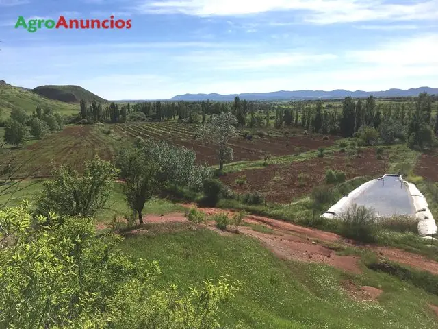 Venta  de Finca de regadío con almendros y nogales en Albacete