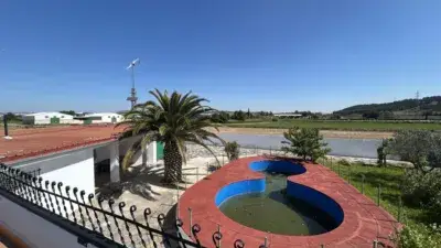 Finca Rustica en Venta Tudela Navarra