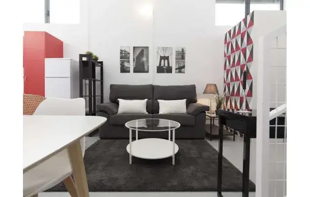 Estudio Moderno en Madrid Ideal Parejas Mascotas