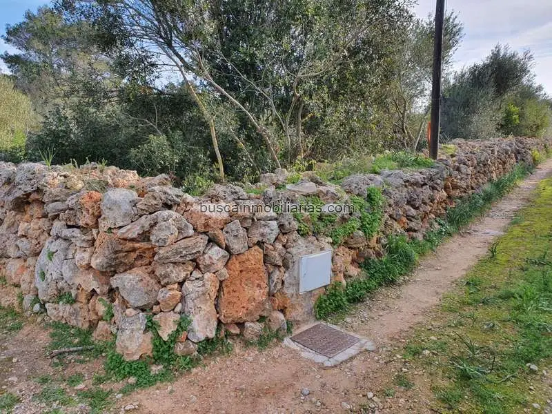 Parcela Urbana en Venta Marratxi Sant Marcal