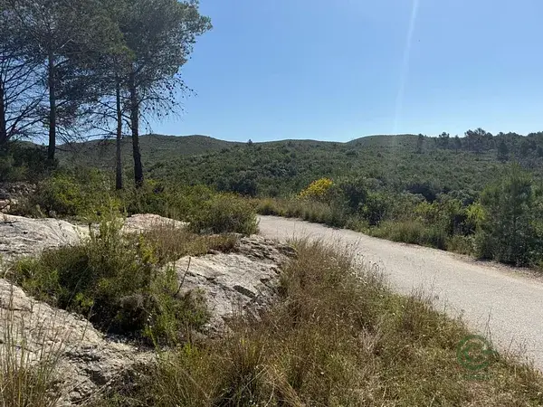 Fincas Rústicas con Vistas al Mar en La Pobla de Montornès
