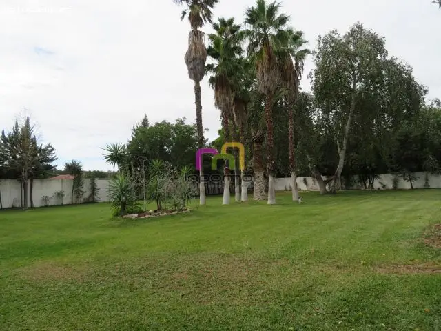 Parcela en Las Vaguadas 1125m2