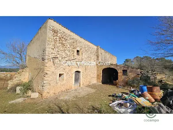 Finca Rústica con Casa a Reformar en Llubí
