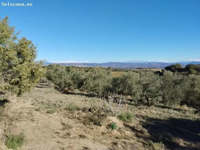 Finca Rustica 26 Hectareas Barbastro