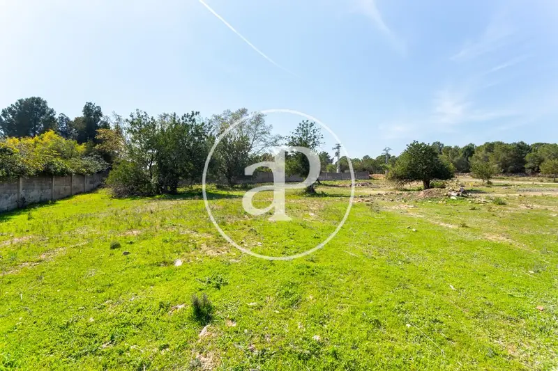 Parcela en Venta en Chiva Valencia 5000m2 Vistas al Mar
