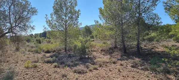 Terreno en Venta 15469m2 Vistas Panoramicas