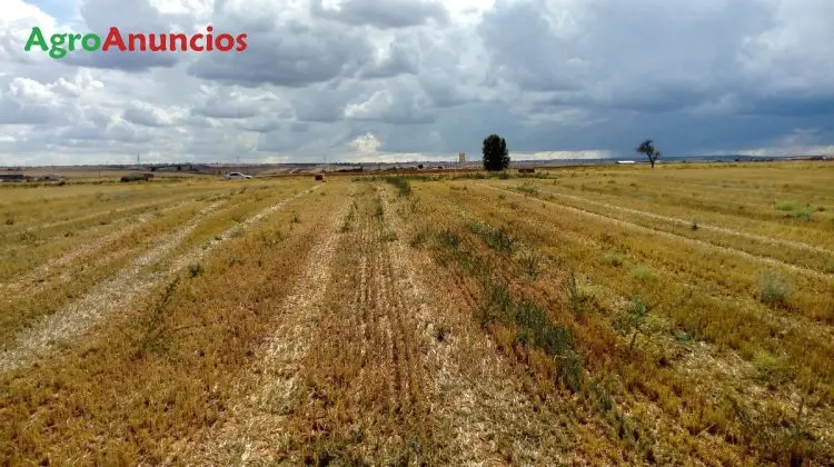 Compra  de Finca rústica en Zamora