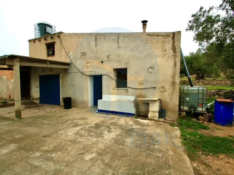 Finca Rustica en Venta Tortosa Cerca del Delta del Ebro