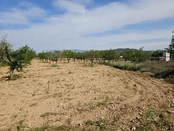 Terreno Rustico en Monovar 2800m2 Vistas Despejadas